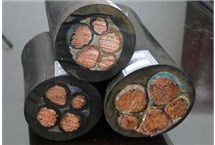 全国推广阻燃电线电缆技术与应用 全国推广阻燃电线电缆技术与应用