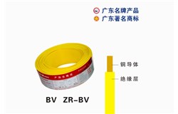 60227 IEC 01(BV)PG电子(中国)官方网站电缆 60227 IEC 01(BV)PG电子(中国)官方网站电缆