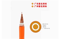 YTTWV-750V矿物质电缆 YTTWV-750V矿物质电缆