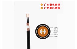 DJYPVP-300/500V聚乙烯绝缘对绞铜线编织分屏蔽及总屏蔽聚氯乙烯护套计算机屏蔽电缆 DJYPVP-300/500V聚乙烯绝缘对绞铜线编织分屏蔽及总屏蔽聚氯乙烯护套计算机屏蔽电缆