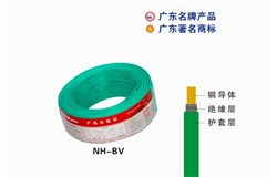 NH-BVPG电子(中国)官方网站电缆 NH-BVPG电子(中国)官方网站电缆