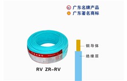 RV ZR-RVPG电子(中国)官方网站电缆 RV ZR-RVPG电子(中国)官方网站电缆