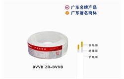 BVVB ZR-BVVBPG电子(中国)官方网站电缆 BVVB ZR-BVVBPG电子(中国)官方网站电缆