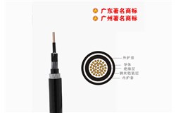 KVV KVV32-KVVP 450/750V控制电缆 铜芯聚氯乙烯绝缘聚氯乙烯护套控制电缆 KVV KVV32-KVVP 450/750V控制电缆 铜芯聚氯乙烯绝缘聚氯乙烯护套控制电缆
