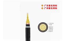 KVVP2-22-450/750V控制电缆 KVVP2-22-450/750V控制电缆